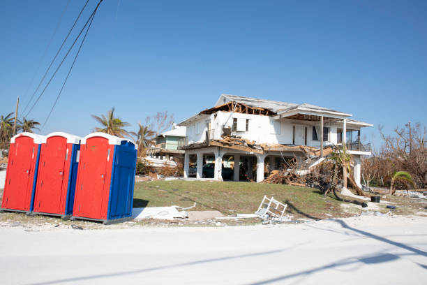 Best Tree Cabling and Bracing  in Sloan, NY